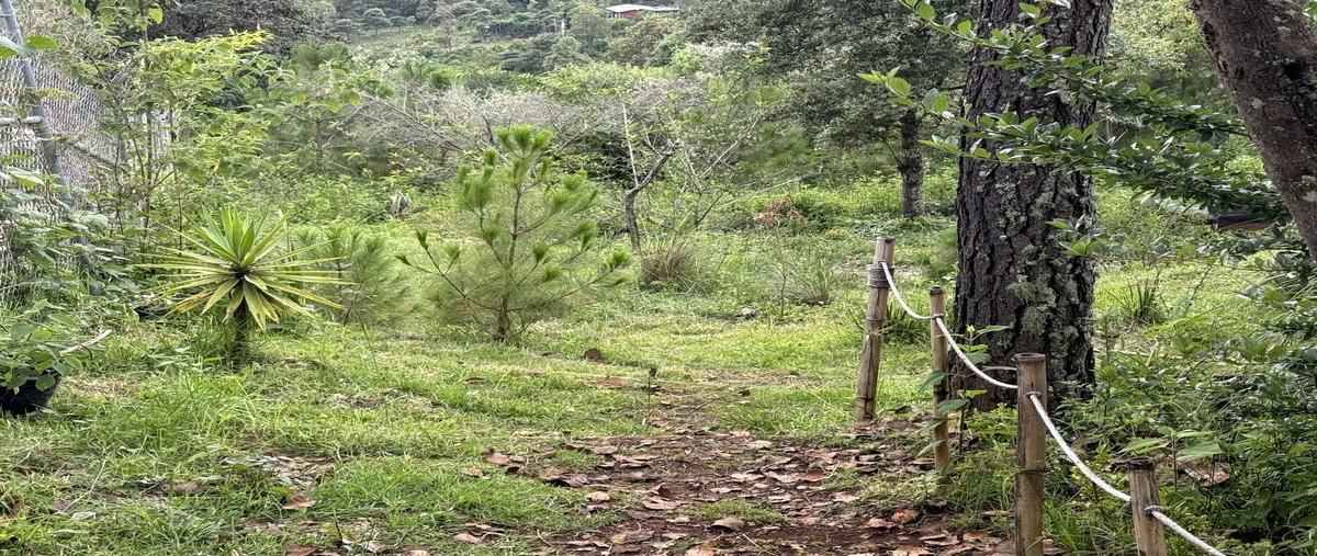Foto de terreno habitacional en venta en  , cerro santa cruz, san cristóbal de las casas, chiapas, 0 No. 03