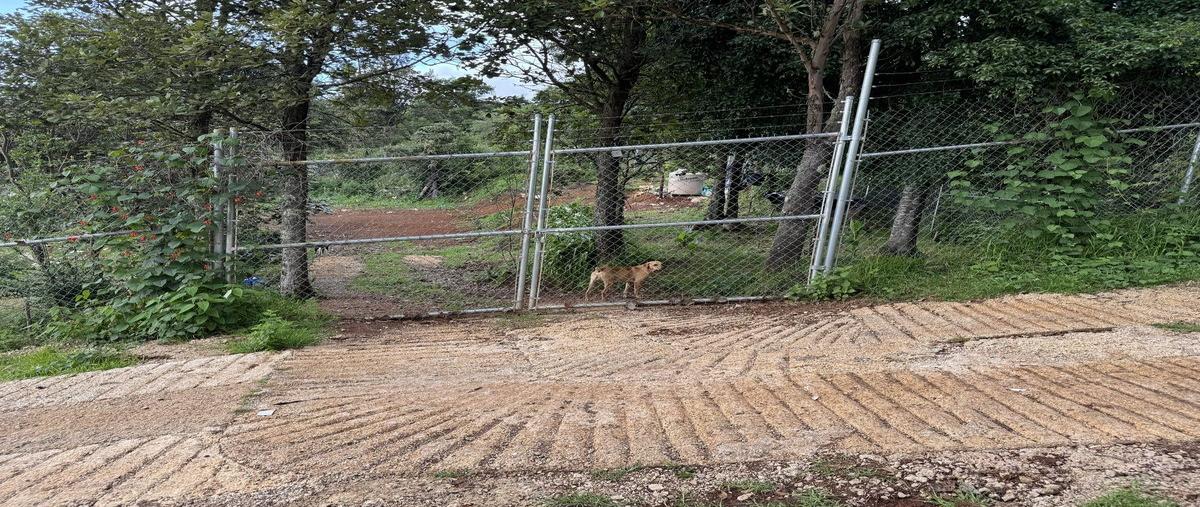 Foto de terreno habitacional en venta en  , cerro santa cruz, san cristóbal de las casas, chiapas, 0 No. 04