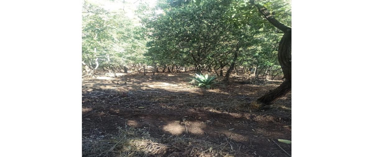 Foto de terreno habitacional en venta en  , cerro verde, morelia, michoacán de ocampo, 0 No. 04