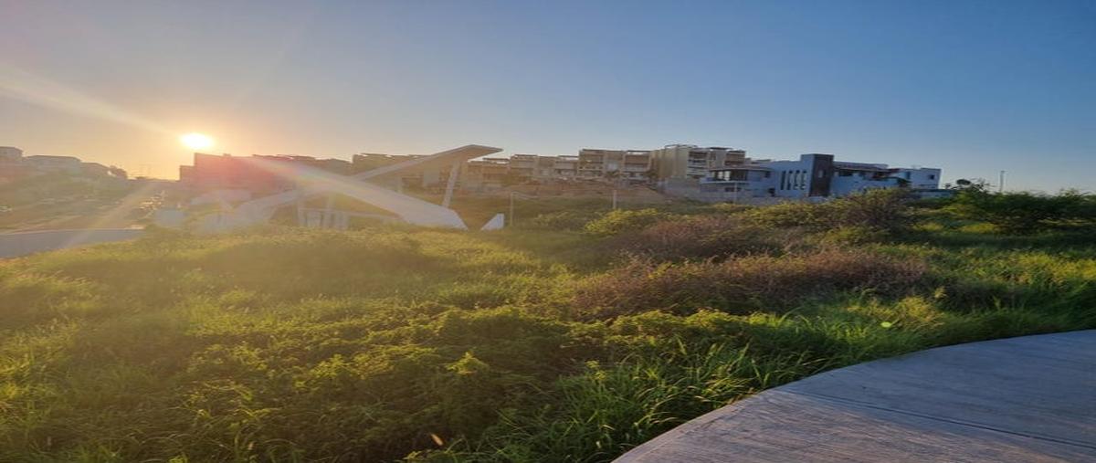 Foto de terreno habitacional en venta en cerro vigia loma del desierto 10-31, san josé del cabo , club de golf residencial, los cabos, baja california sur, 28693767 No. 04