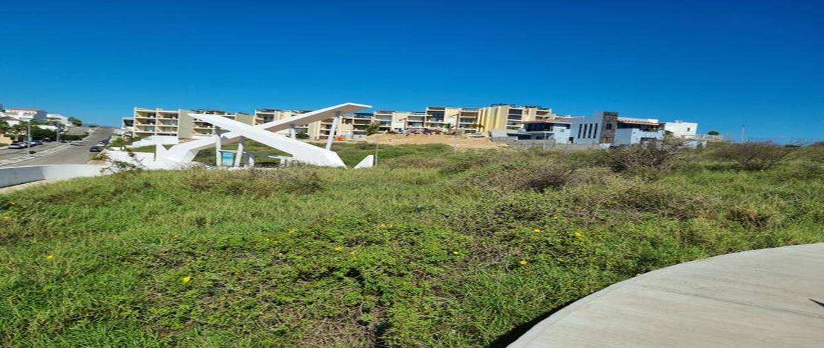 Foto de terreno habitacional en venta en cerro vigia loma del desierto 10-31, san josé del , club de golf residencial, los cabos, baja california sur, 28693767 No. 05