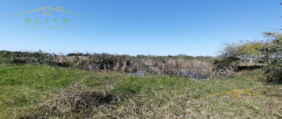 Foto de terreno habitacional en venta en  , cervantes, altamira, tamaulipas, 23849778 No. 03