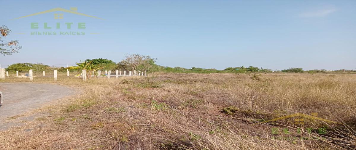 Foto de terreno habitacional en venta en  , cervantes, altamira, tamaulipas, 23849778 No. 04