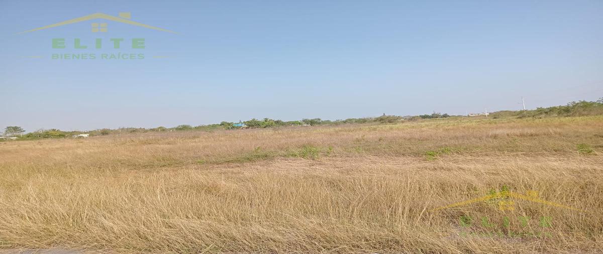 Foto de terreno habitacional en venta en  , cervantes, altamira, tamaulipas, 23849778 No. 05