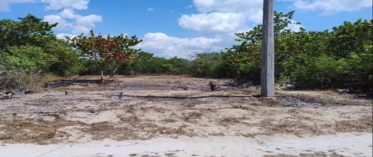 Foto de terreno habitacional en , chabihau, yobaín, yucatán, 0 foto 02 Foto de terreno habitacional en venta en , chabihau, yobaín, yucatán, 0 No. 02