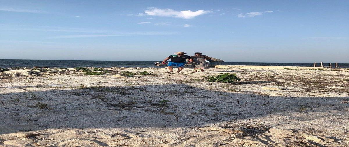 Foto de terreno habitacional en , chabihau, yobaín, yucatán, 0 foto 04 Foto de terreno habitacional en venta en , chabihau, yobaín, yucatán, 0 No. 04