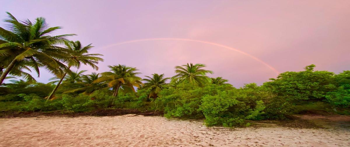 Foto de terreno habitacional en , chabihau, yobaín, yucatán, 31039176 foto 03 Foto de terreno habitacional en venta en , chabihau, yobaín, yucatán, 31039176 No. 03
