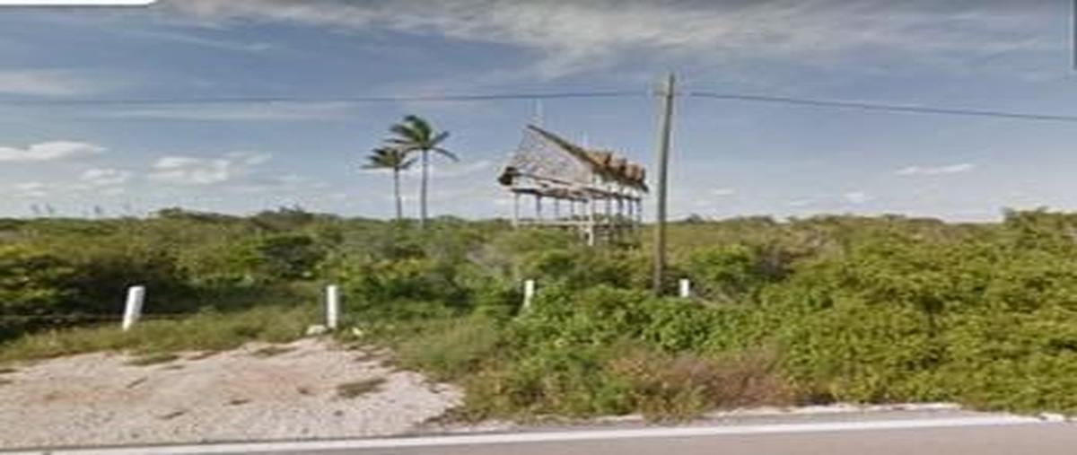 Foto de terreno habitacional en , chabihau, yobaín, yucatán, 31039176 foto 04 Foto de terreno habitacional en venta en , chabihau, yobaín, yucatán, 31039176 No. 04
