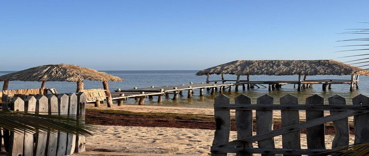 Foto de terreno habitacional en venta en  , chabihau, yobaín, yucatán, 0 No. 05