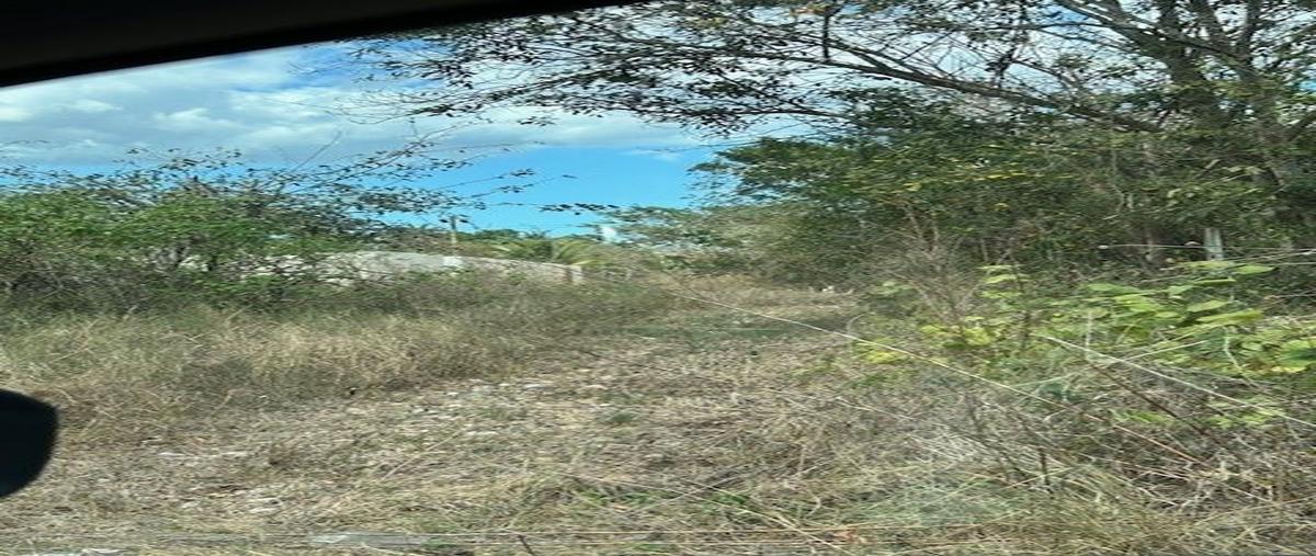 Foto de terreno habitacional en venta en chablekal , chablekal, mérida, yucatán, 27329366 No. 03