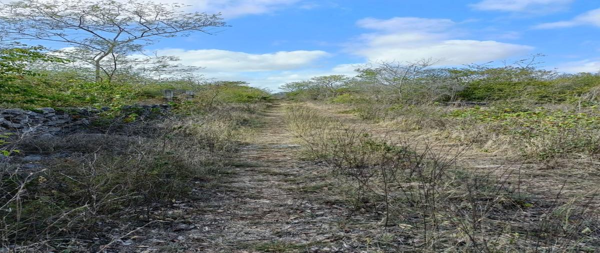 Foto de terreno habitacional en venta en  , chablekal, mérida, yucatán, 25145775 No. 03