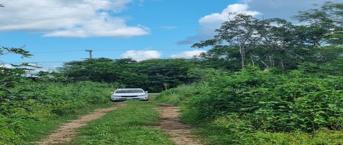 Foto de terreno habitacional en , chablekal, mérida, yucatán, 27075820 foto 03 Foto de terreno habitacional en venta en , chablekal, mérida, yucatán, 27075820 No. 03