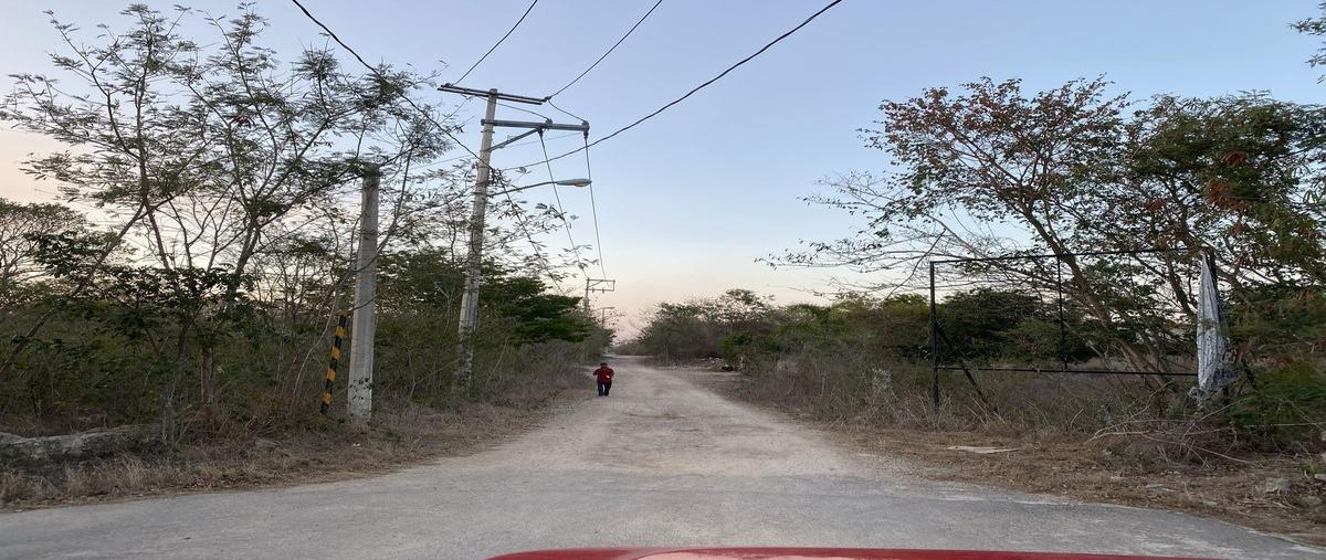 Foto de terreno habitacional en venta en  , chablekal, mérida, yucatán, 27400702 No. 04