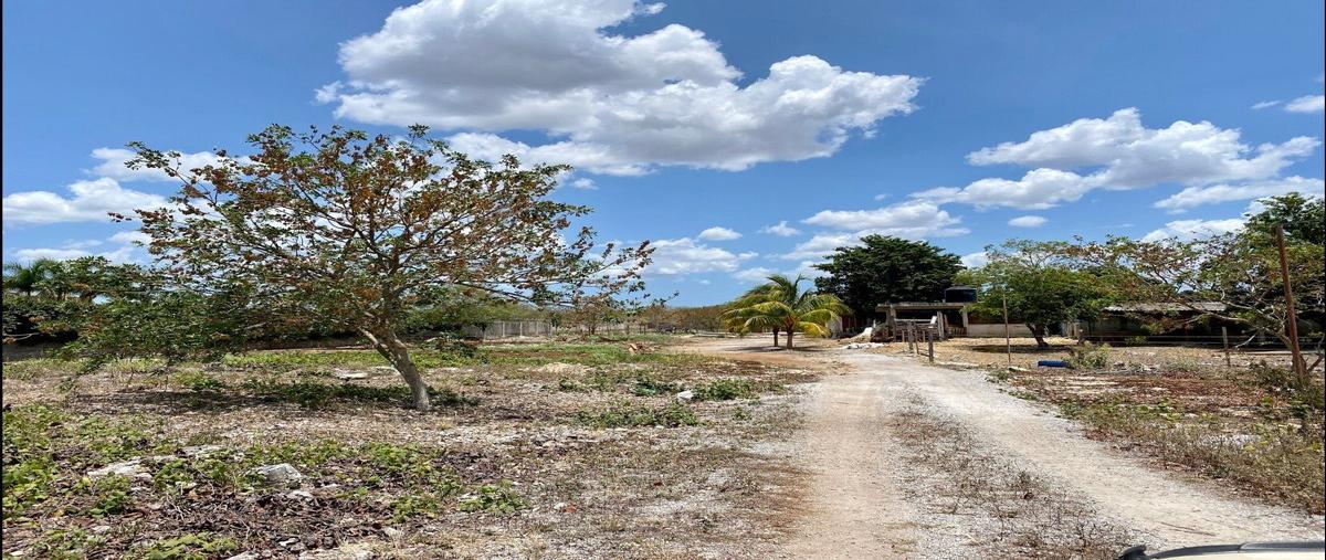 Foto de terreno habitacional en , chablekal, mérida, yucatán, 27400727 foto 05 Foto de terreno habitacional en venta en , chablekal, mérida, yucatán, 27400727 No. 05