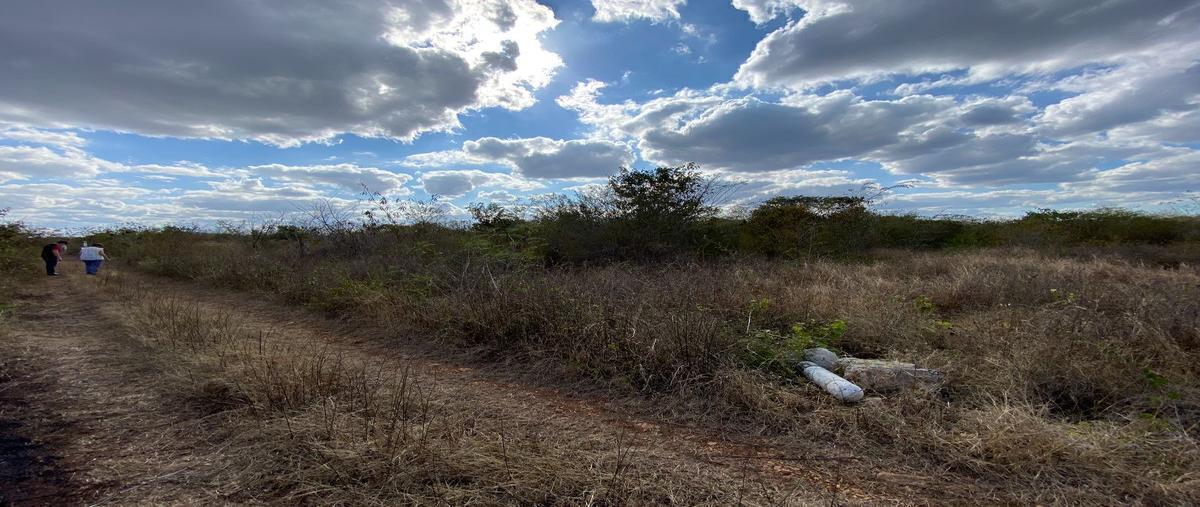 Foto de terreno habitacional en venta en  , chablekal, mérida, yucatán, 28234898 No. 05