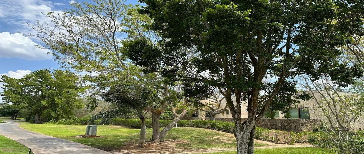 Foto de terreno habitacional en venta en  , chablekal, mérida, yucatán, 28885981 No. 03