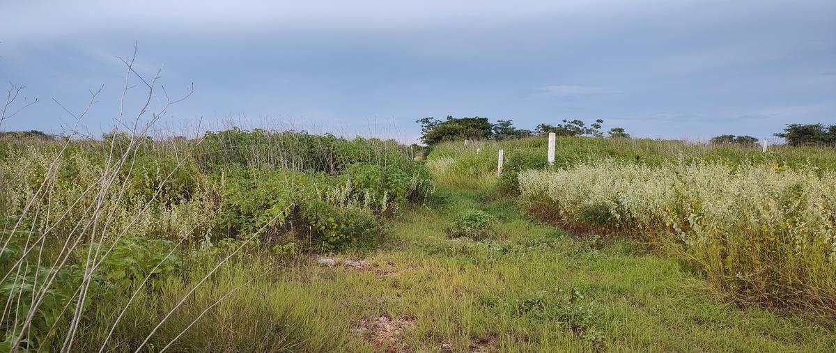 Foto de terreno habitacional en venta en  , chablekal, mérida, yucatán, 0 No. 03