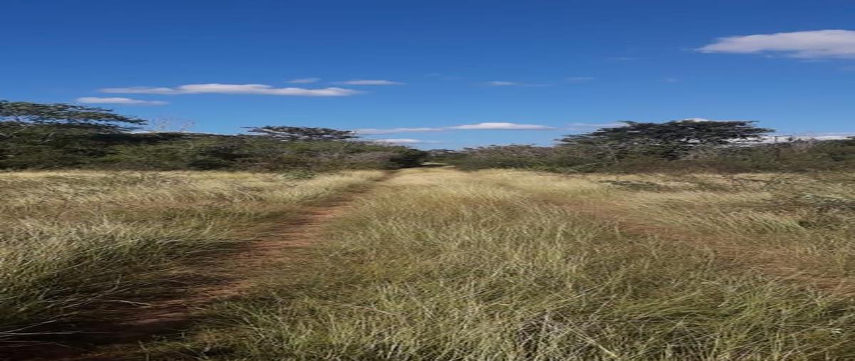 Foto de terreno habitacional en venta en  , chablekal, mérida, yucatán, 0 No. 03