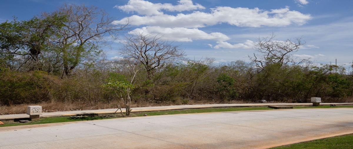 Foto de terreno habitacional en venta en  , chablekal, mérida, yucatán, 29438250 No. 05