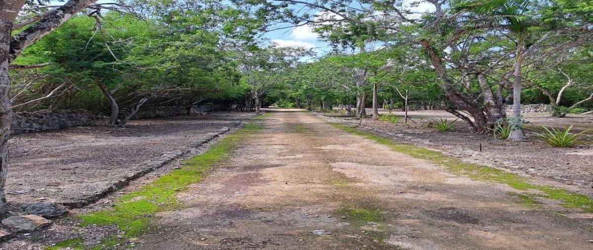 Foto de terreno habitacional en venta en  , chablekal, mérida, yucatán, 30147390 No. 04
