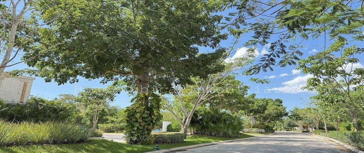 Foto de terreno habitacional en venta en  , chablekal, mérida, yucatán, 30526176 No. 03