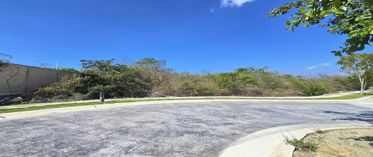 Foto de terreno habitacional en , chablekal, mérida, yucatán, 30882848 foto 02 Foto de terreno habitacional en venta en , chablekal, mérida, yucatán, 30882848 No. 02