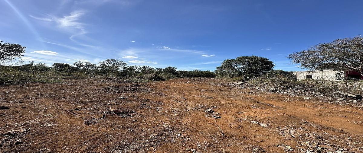 Foto de terreno habitacional en , chablekal, mérida, yucatán, 0 foto 06 Foto de terreno habitacional en renta en , chablekal, mérida, yucatán, 0 No. 06