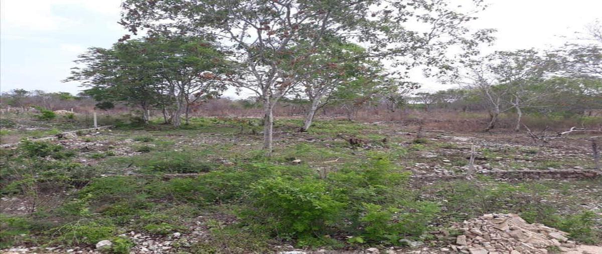 Foto de terreno habitacional en chablekal whi267889, chablekal, mérida, yucatán, 19305138 foto 01 Foto de terreno habitacional en venta en chablekal whi267889, chablekal, mérida, yucatán, 19305138 No. 01