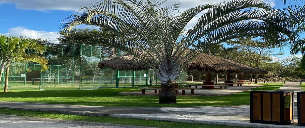 Foto de terreno habitacional en venta en chablekal whi293547, chablekal, mérida, yucatán, 0 No. 03
