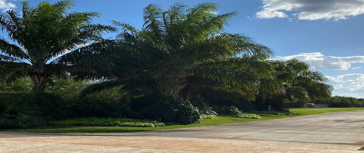 Foto de terreno habitacional en venta en chablekal whi293547, chablekal, mérida, yucatán, 0 No. 04