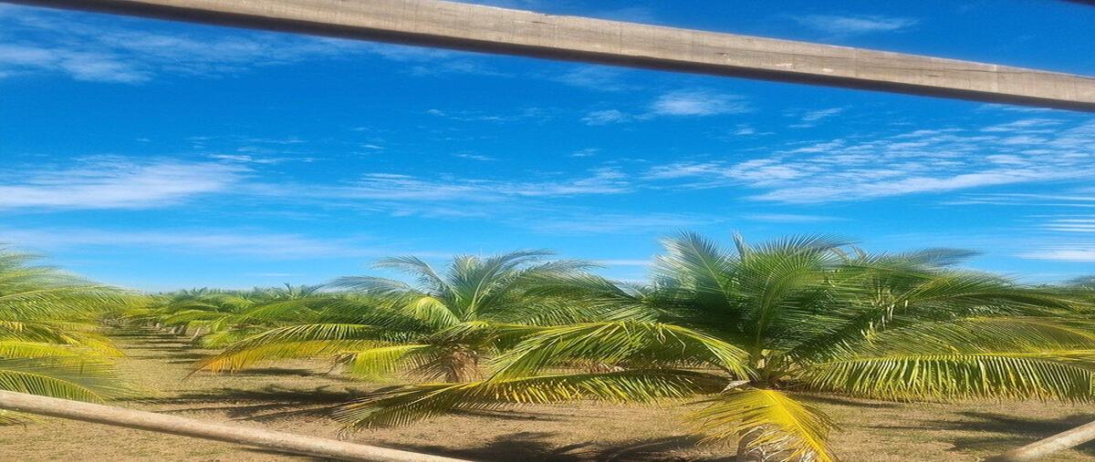 Foto de terreno habitacional en venta en  , chacala, compostela, nayarit, 0 No. 03