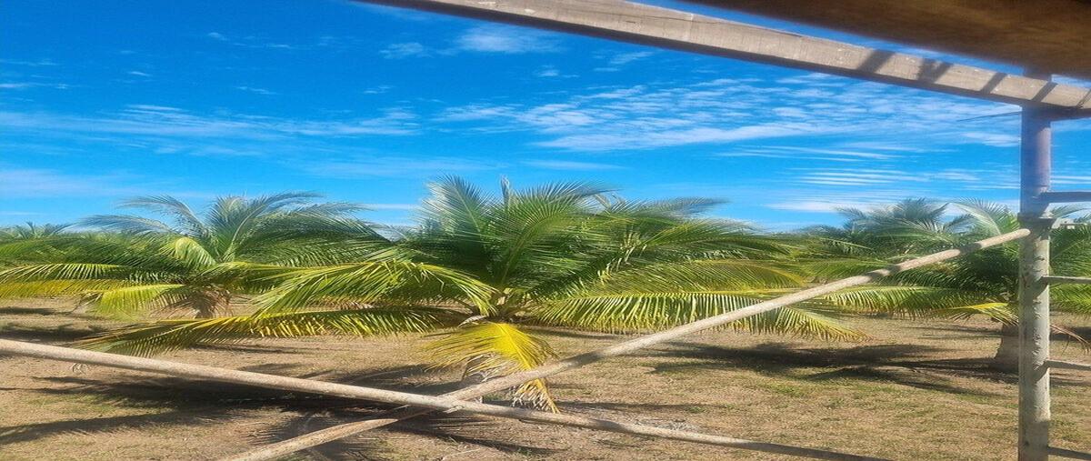 Foto de terreno habitacional en venta en  , chacala, compostela, nayarit, 0 No. 04