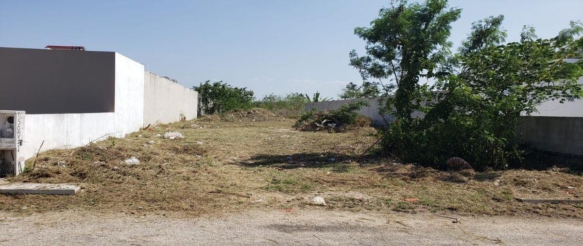 Foto de terreno habitacional en venta en chacté residencial , dzitya, mérida, yucatán, 0 No. 03