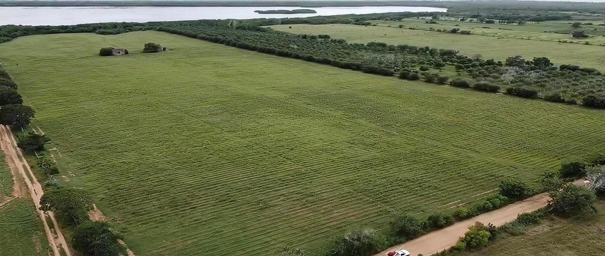 Foto de terreno habitacional en venta en chalacatepec , tomatlan, tomatlán, jalisco, 0 No. 03