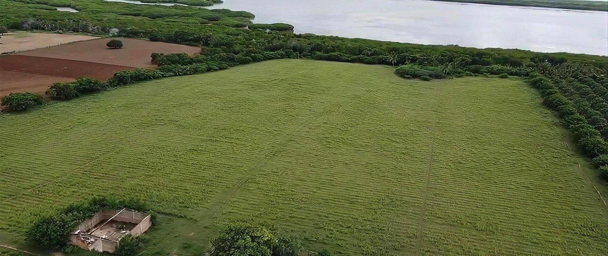 Foto de terreno habitacional en venta en chalacatepec , tomatlan, tomatlán, jalisco, 0 No. 05