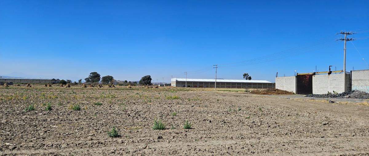 Foto de terreno habitacional en venta en  , chalco de díaz covarrubias centro, chalco, méxico, 27519813 No. 05