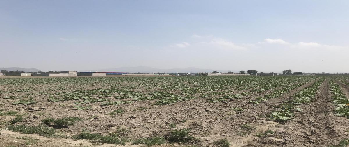 Foto de terreno habitacional en venta en  , chalco de díaz covarrubias centro, chalco, méxico, 0 No. 04