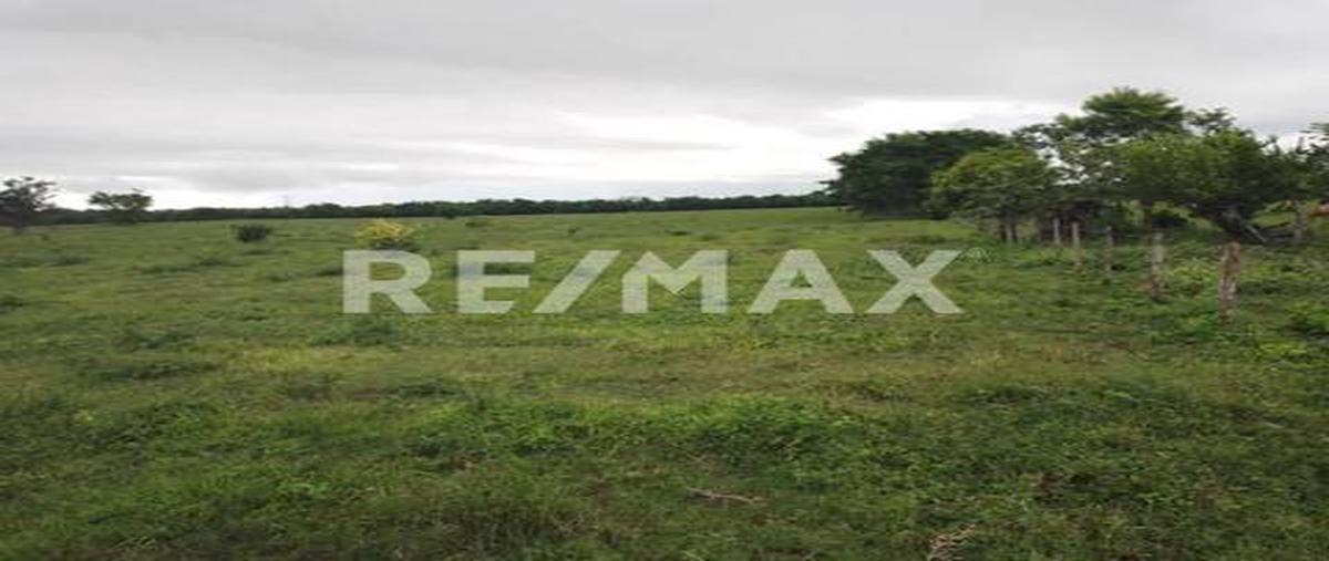 Foto de rancho en chalcomulco veracruz , chalcomulco, soconusco, veracruz de ignacio de la llave, 0 foto 02 Foto de rancho en venta en chalcomulco veracruz , chalcomulco, soconusco, veracruz de ignacio de la llave, 0 No. 02