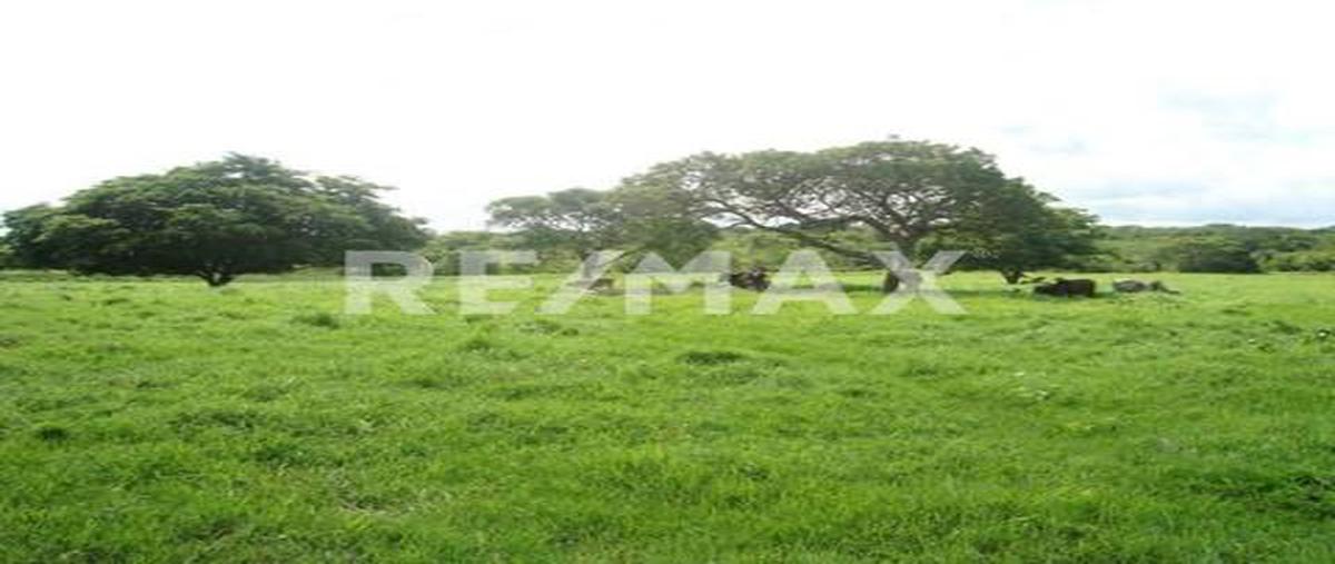 Foto de rancho en chalcomulco veracruz , chalcomulco, soconusco, veracruz de ignacio de la llave, 0 foto 04 Foto de rancho en venta en chalcomulco veracruz , chalcomulco, soconusco, veracruz de ignacio de la llave, 0 No. 04