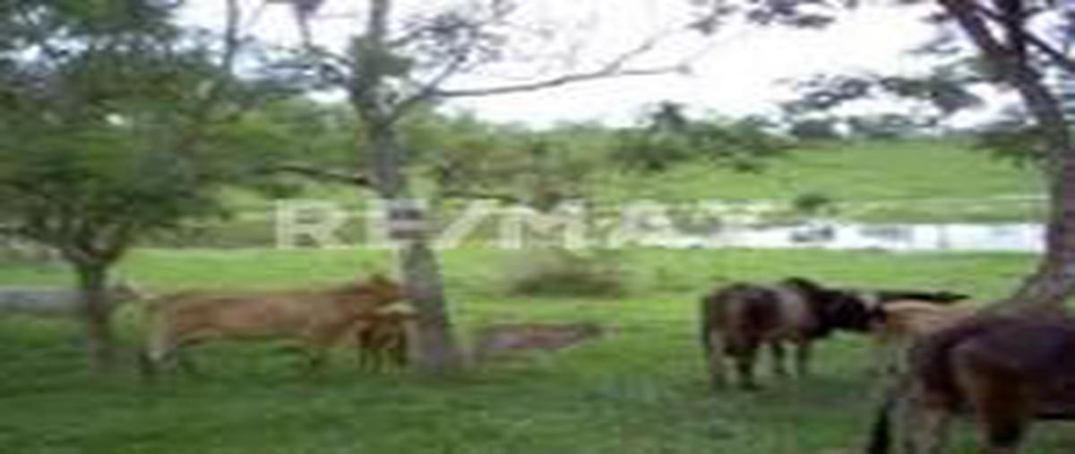 Foto de rancho en chalcomulco veracruz , chalcomulco, soconusco, veracruz de ignacio de la llave, 0 foto 05 Foto de rancho en venta en chalcomulco veracruz , chalcomulco, soconusco, veracruz de ignacio de la llave, 0 No. 05