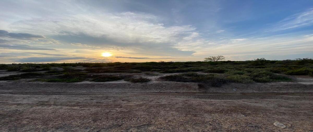 Foto de terreno habitacional en venta en chametla , chametla, la paz, baja california sur, 0 No. 01