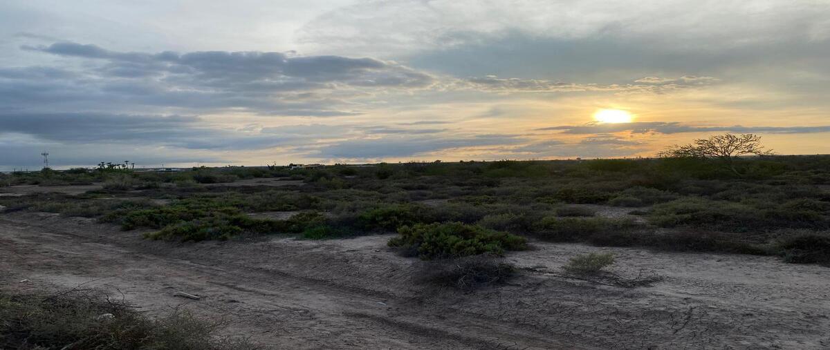 Foto de terreno habitacional en venta en chametla , chametla, la paz, baja california sur, 0 No. 02