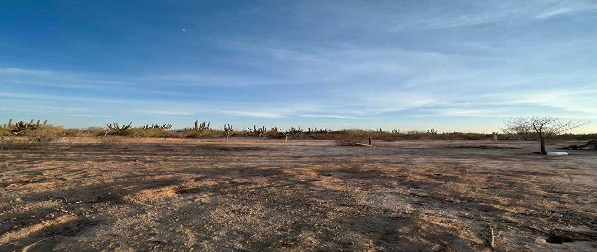 Foto de terreno habitacional en venta en  , chametla, la paz, baja california sur, 26855217 No. 03