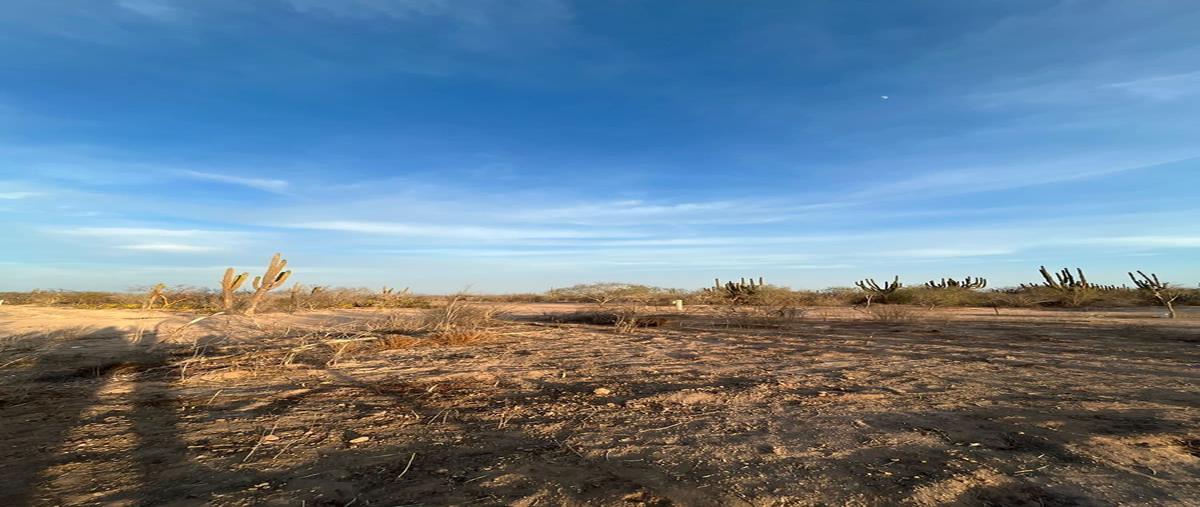 Foto de terreno habitacional en venta en  , chametla, la paz, baja california sur, 26855218 No. 03
