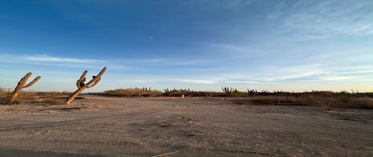 Foto de terreno habitacional en venta en  , chametla, la paz, baja california sur, 26855218 No. 04