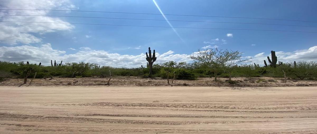 Foto de terreno habitacional en venta en  , chametla, la paz, baja california sur, 27142189 No. 04