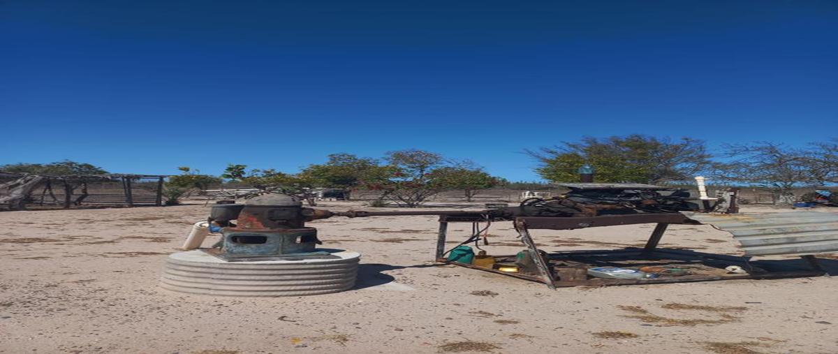 Foto de rancho en venta en  , chametla, la paz, baja california sur, 0 No. 03