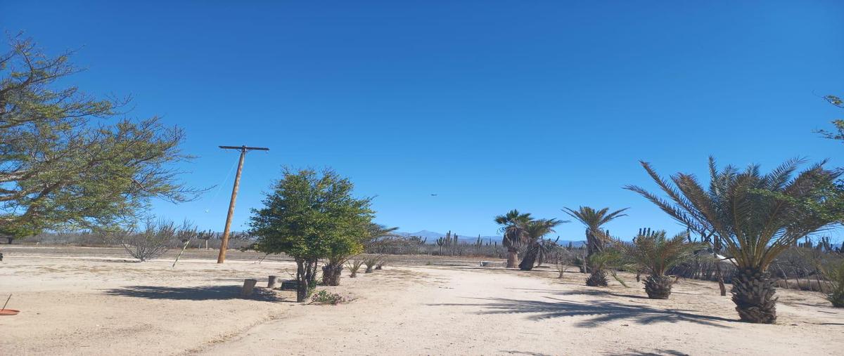 Foto de rancho en venta en  , chametla, la paz, baja california sur, 0 No. 05