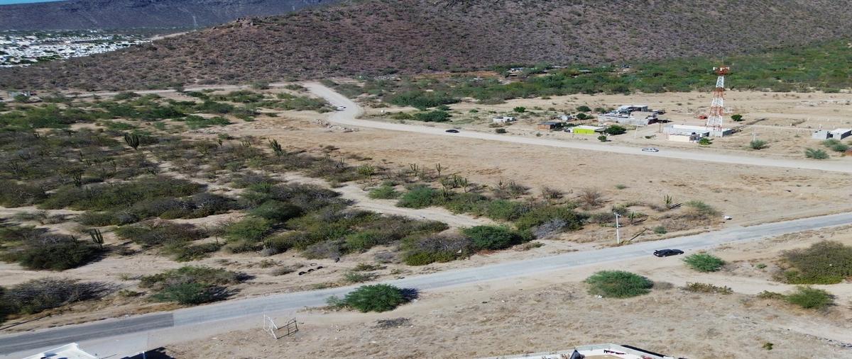 Foto de terreno habitacional en venta en  , chametla, la paz, baja california sur, 29479154 No. 03