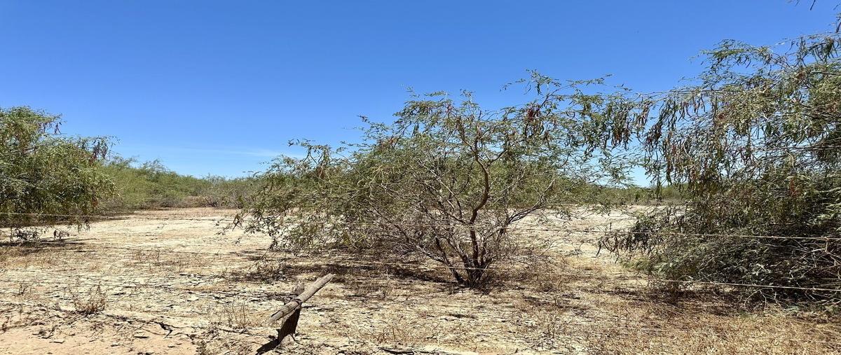 Foto de terreno habitacional en venta en  , chametla, la paz, baja california sur, 0 No. 03